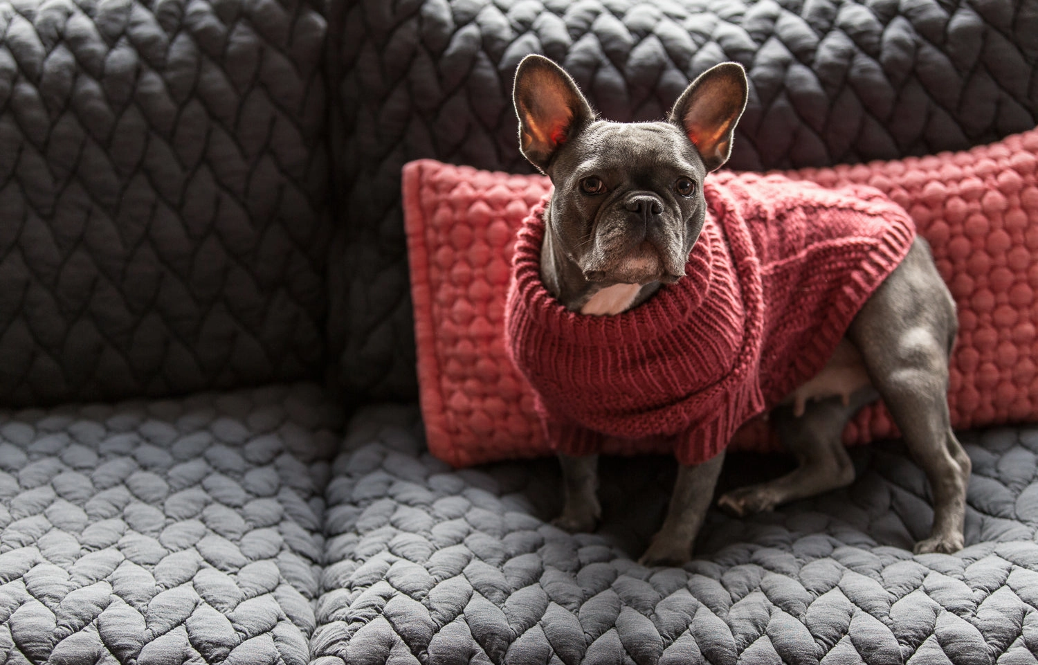 Wooldog Classic Hortensia Hand-Knitted Dog Jumper