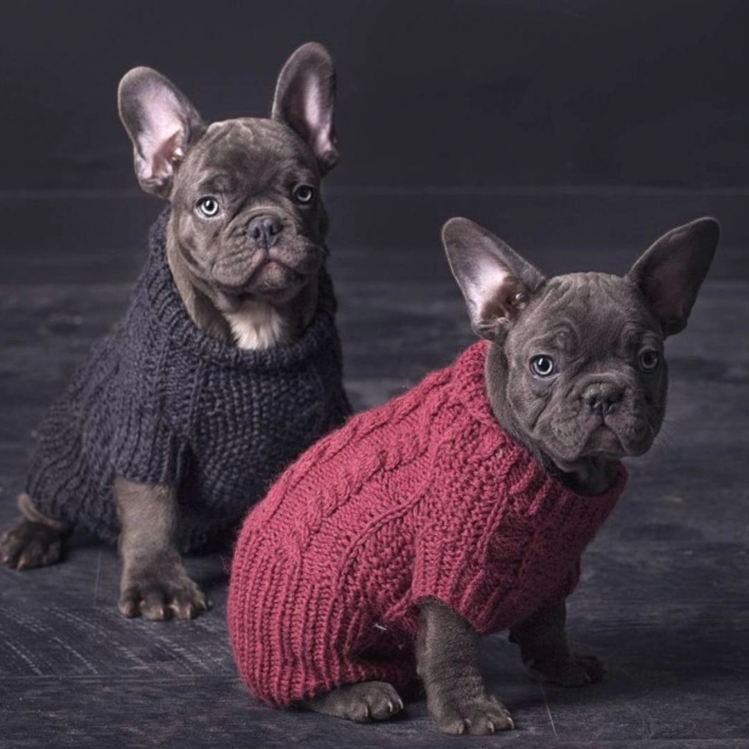 Wooldog Classic Hortensia Hand-Knitted Dog Jumper