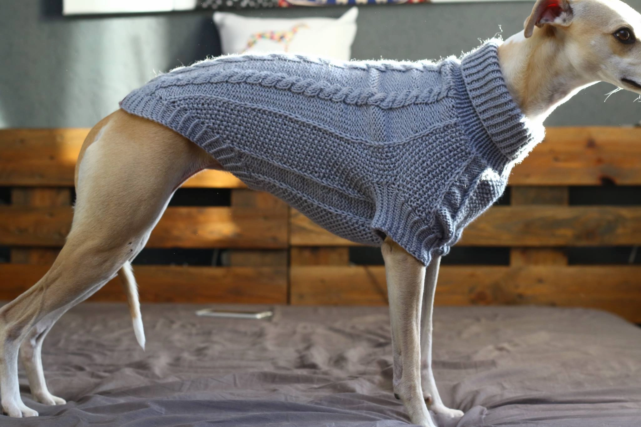 Wooldog Classic Light Graphite Grey Hand-Knitted Dog Jumper