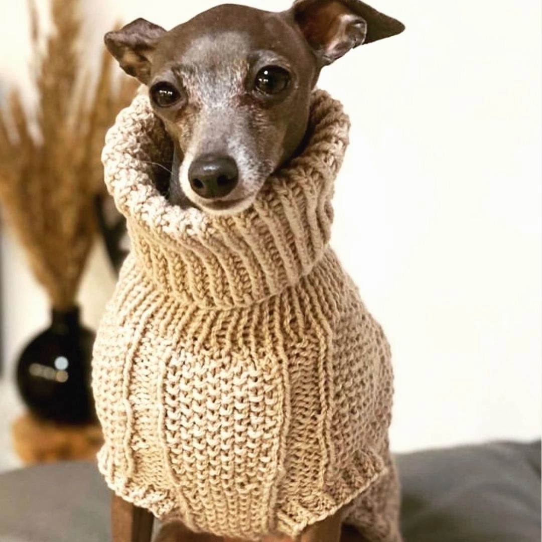 Wooldog Classic Milk Caramel Hand-Knitted Dog Jumper