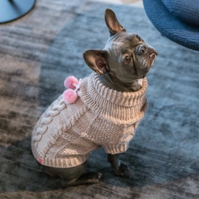 Wooldog Classic Milk Caramel Hand-Knitted Dog Jumper