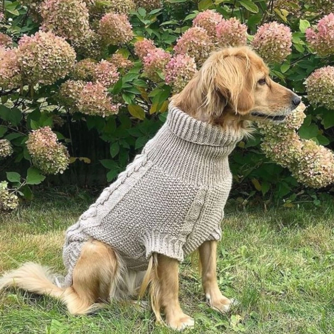 Wooldog Classic Milk Caramel Hand-Knitted Dog Jumper