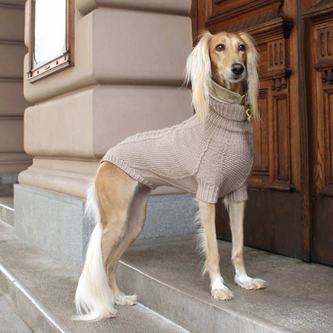 Wooldog Classic Milk Caramel Hand-Knitted Dog Jumper