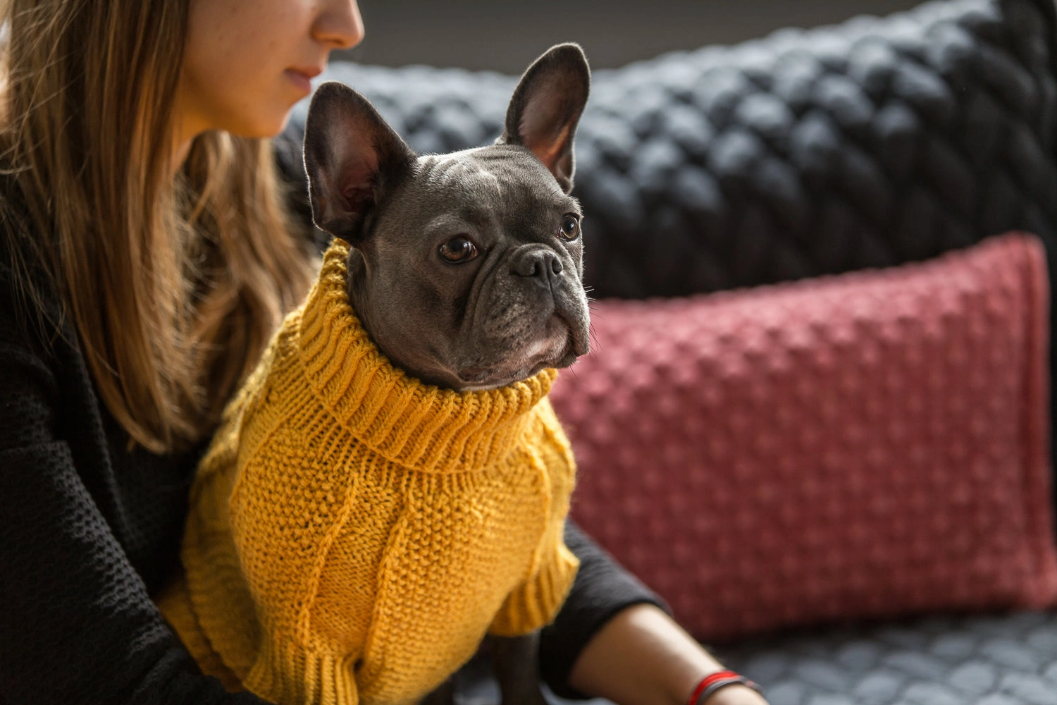 Wooldog Classic Sunflower Yellow Hand-Knitted Dog Jumper