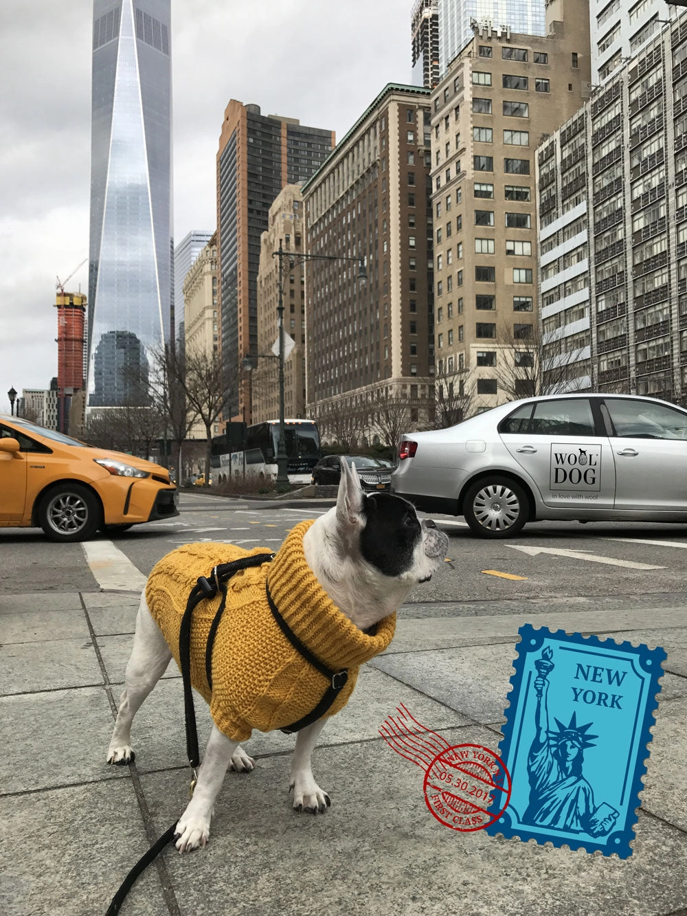 Wooldog Classic Sunflower Yellow Hand-Knitted Dog Jumper