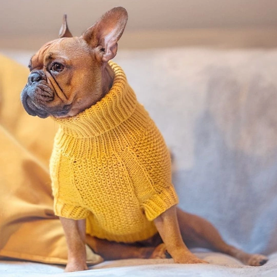 Wooldog Classic Sunflower Yellow Hand-Knitted Dog Jumper