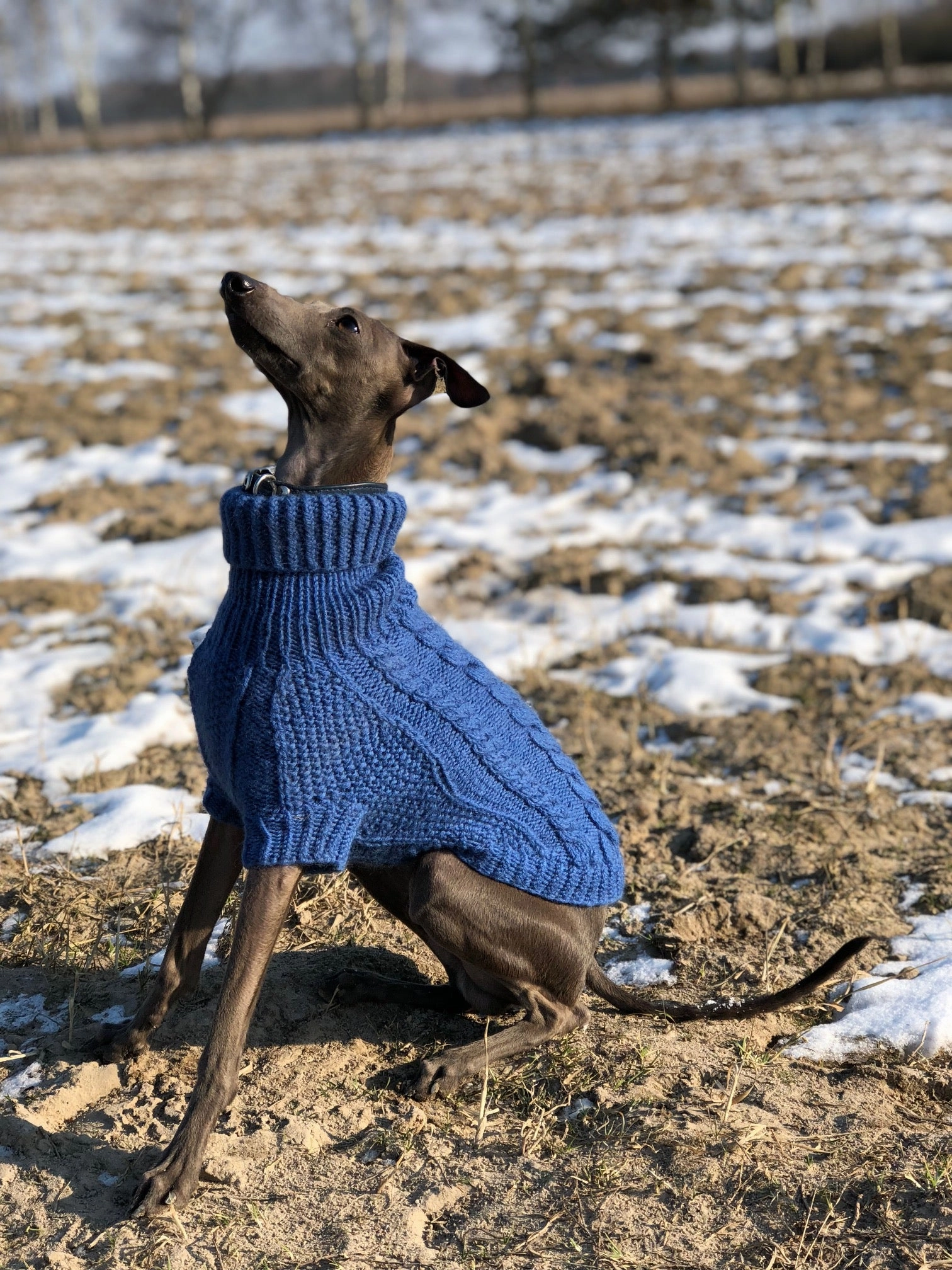 Wooldog Classic Ultramarine Hand-Knitted Dog Jumper