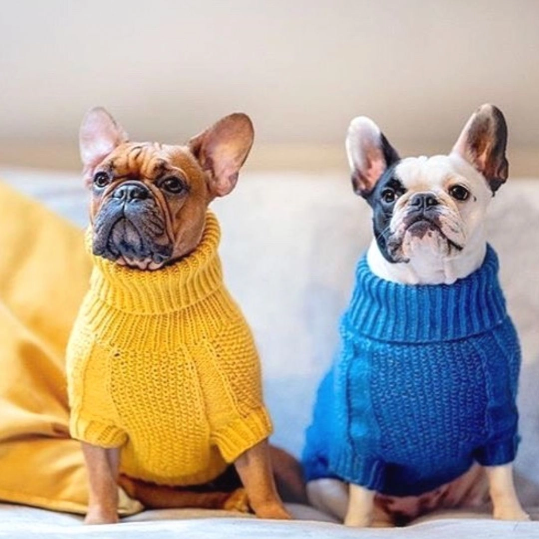 Wooldog Classic Ultramarine Hand-Knitted Dog Jumper