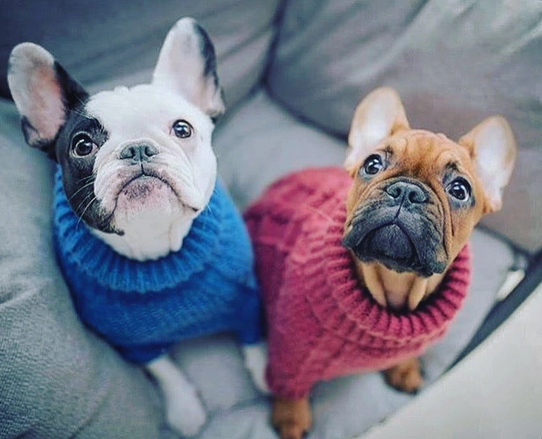Wooldog Classic Ultramarine Hand-Knitted Dog Jumper