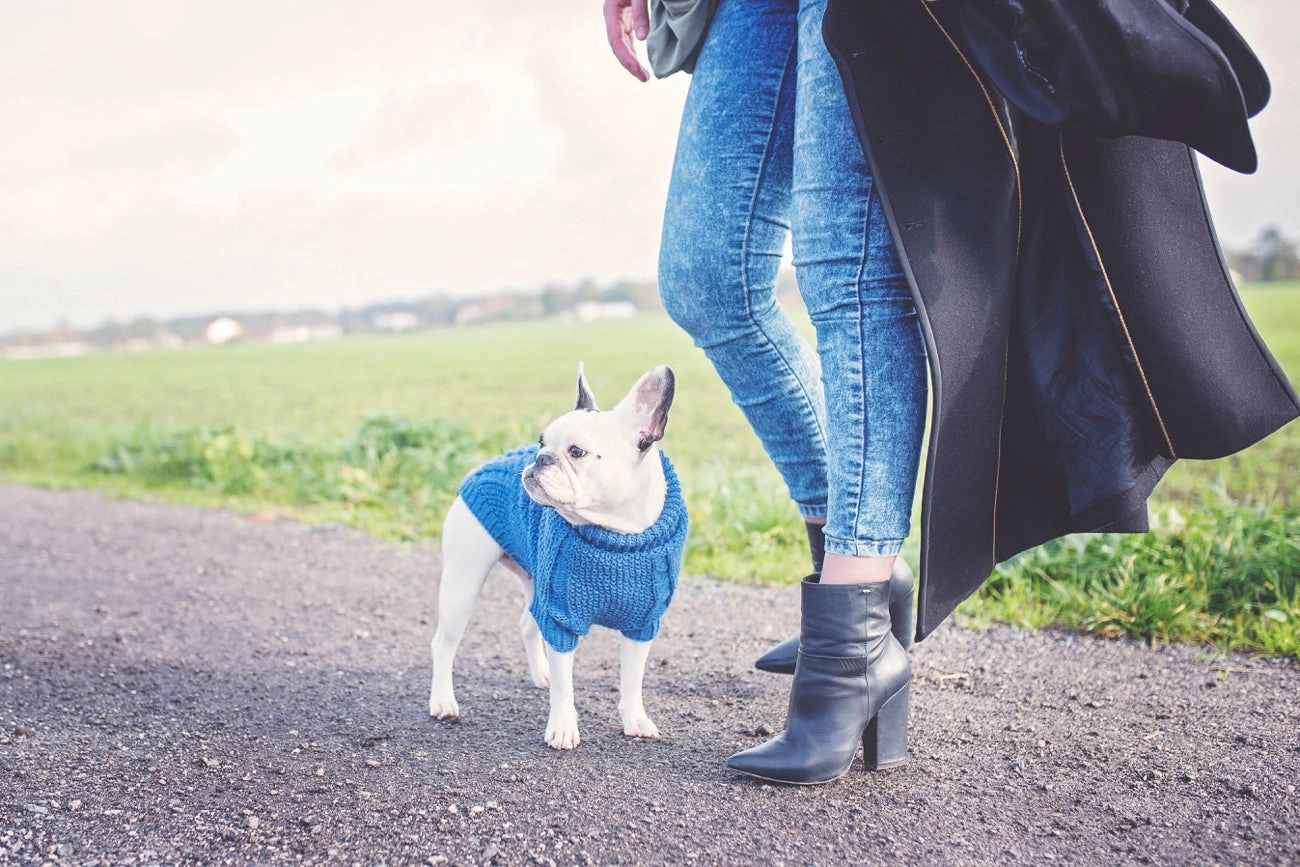 Wooldog Classic Ultramarine Hand-Knitted Dog Jumper