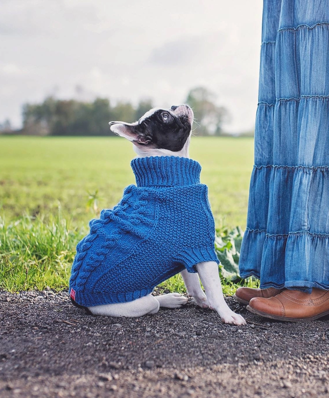 Wooldog Classic Ultramarine Hand-Knitted Dog Jumper