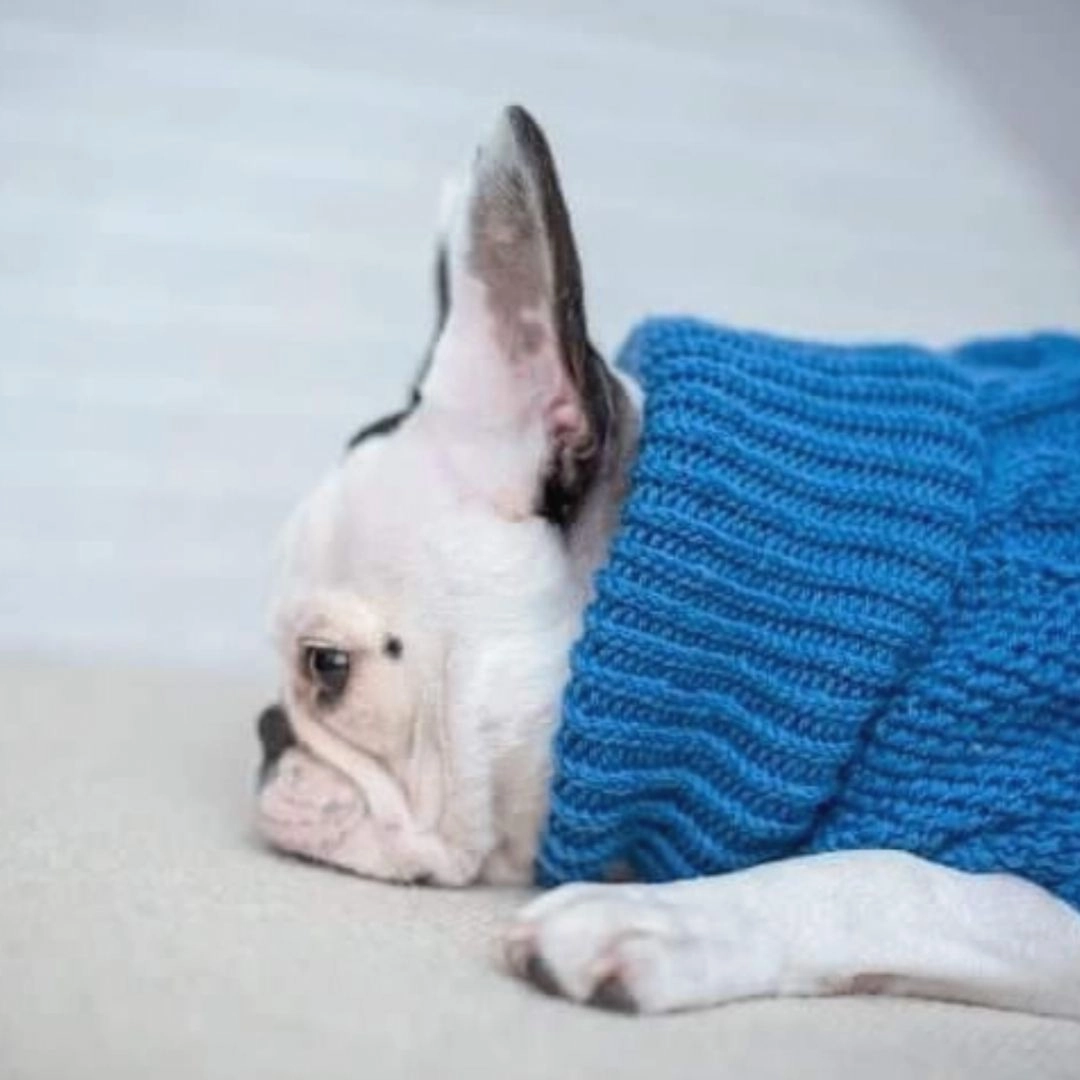 Wooldog Classic Ultramarine Hand-Knitted Dog Jumper