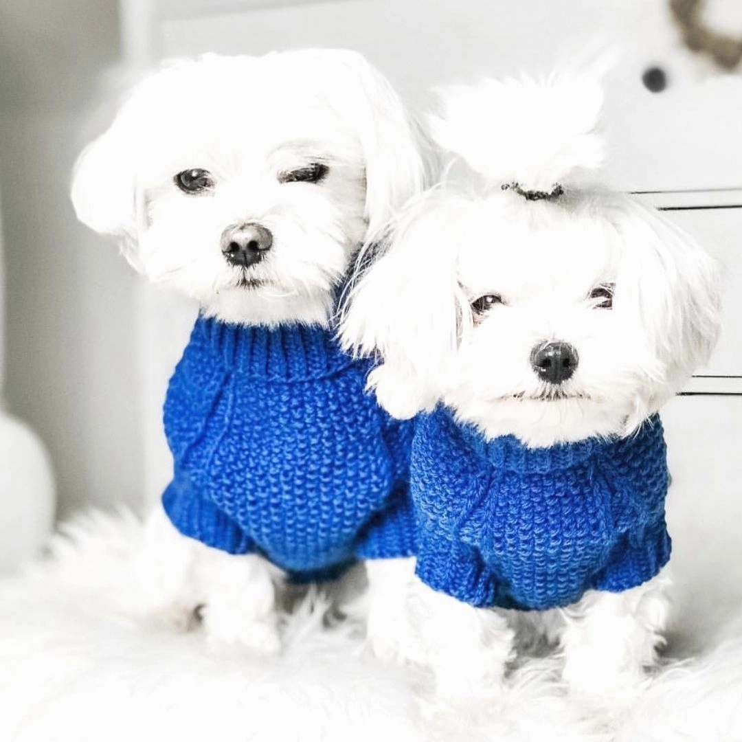 Wooldog Classic Ultramarine Hand-Knitted Dog Jumper