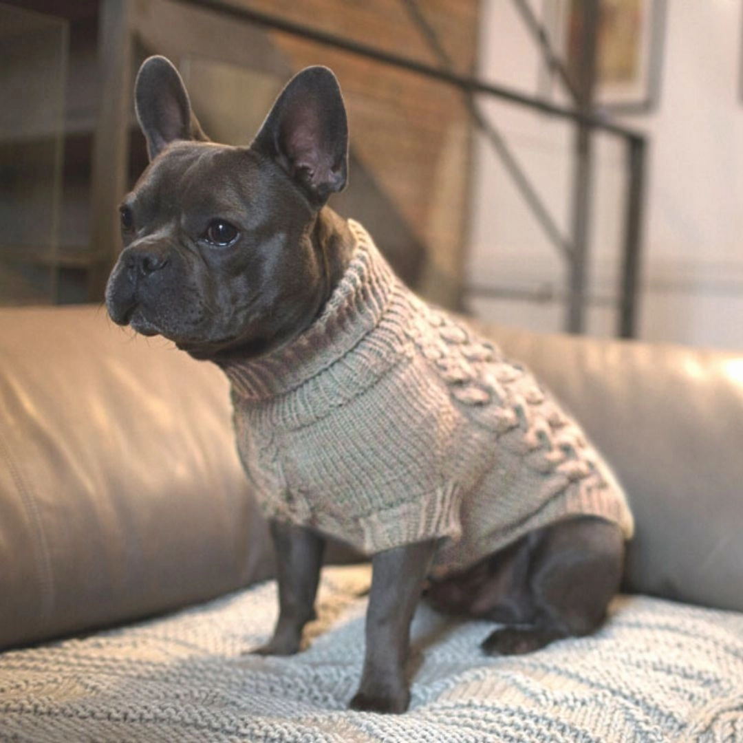 Wooldog Supreme 100% Merino Wool Beige Puff Hand-Knitted Dog Jumper