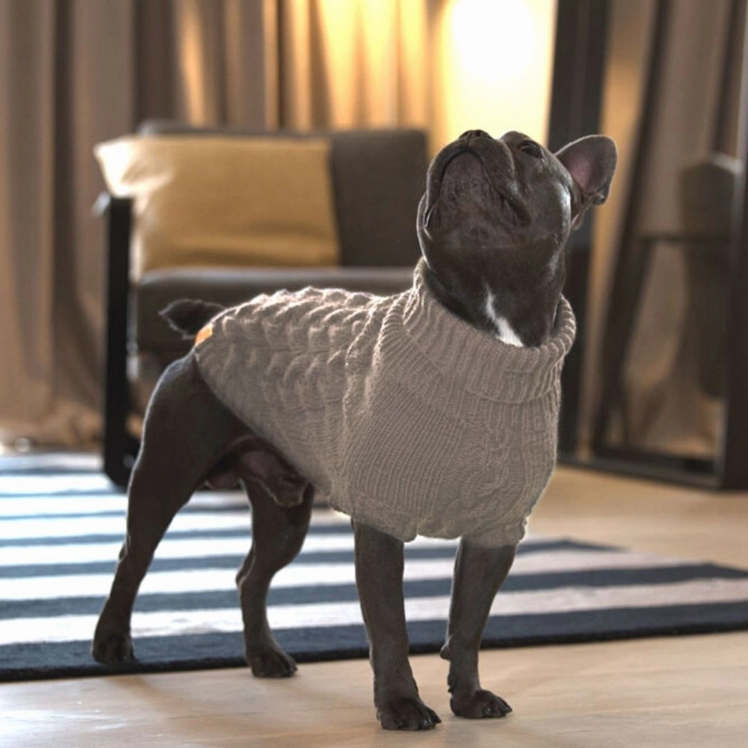 Wooldog Supreme 100% Merino Wool Beige Puff Hand-Knitted Dog Jumper
