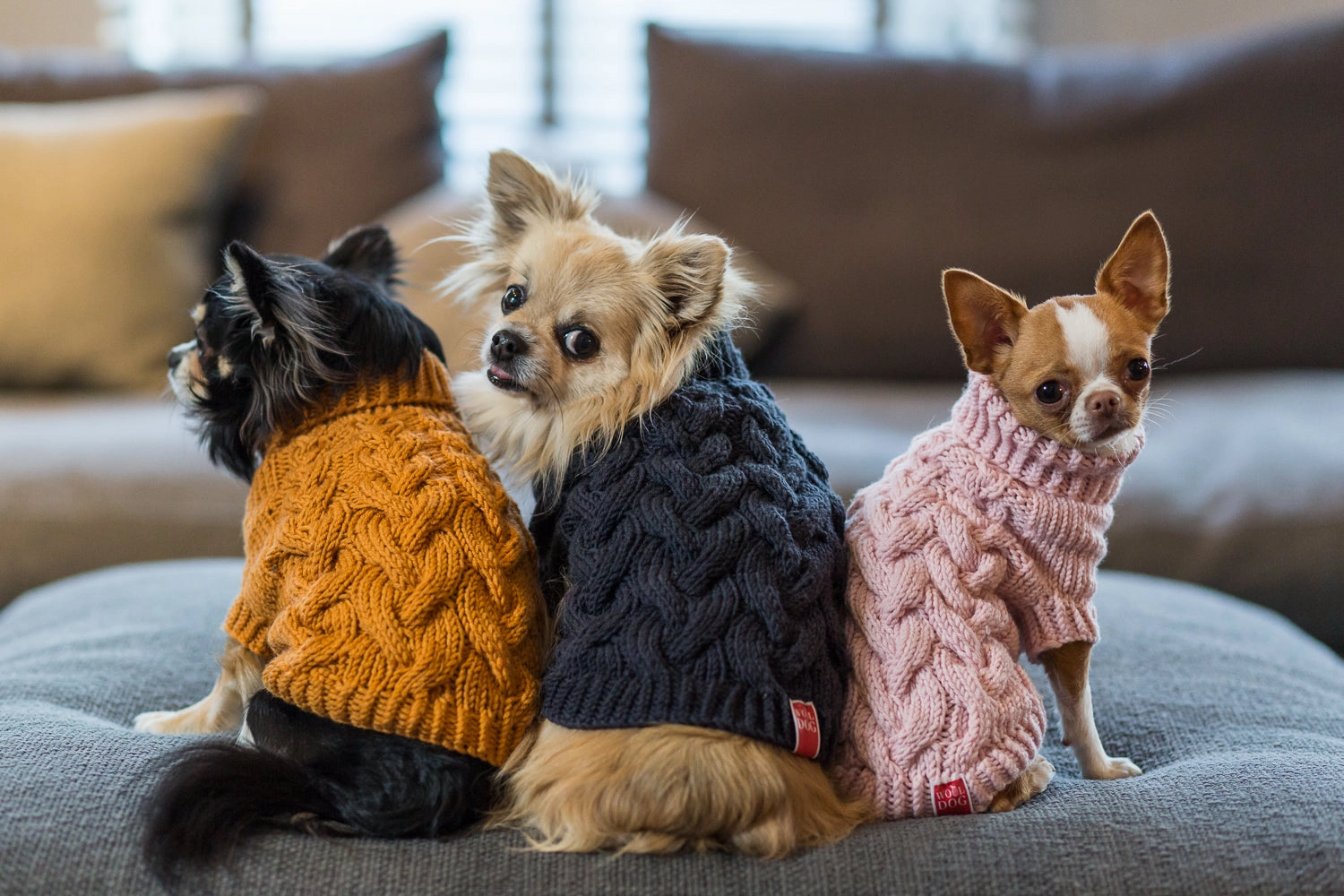 Wooldog Supreme 100% Merino Wool Deep Steel Hand-Knitted Dog Jumper