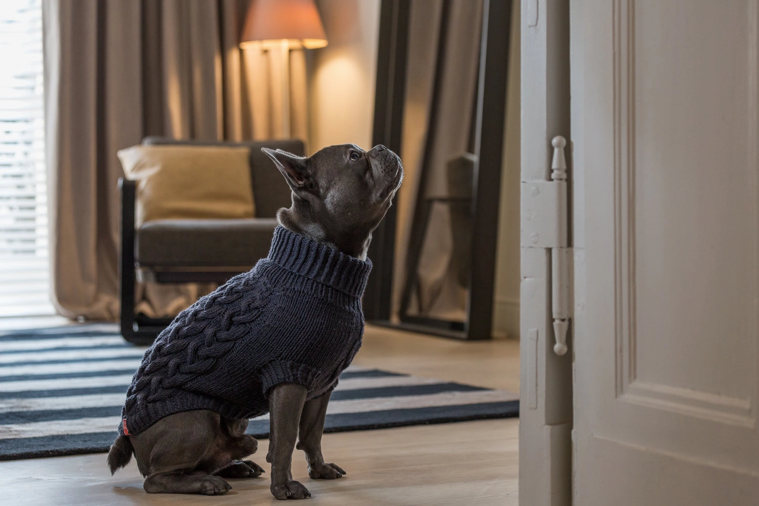 Wooldog Supreme 100% Merino Wool Deep Steel Hand-Knitted Dog Jumper