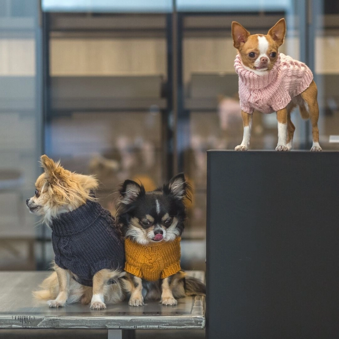 Wooldog Supreme 100% Merino Wool Pink Powder Hand-Knitted Dog Jumper
