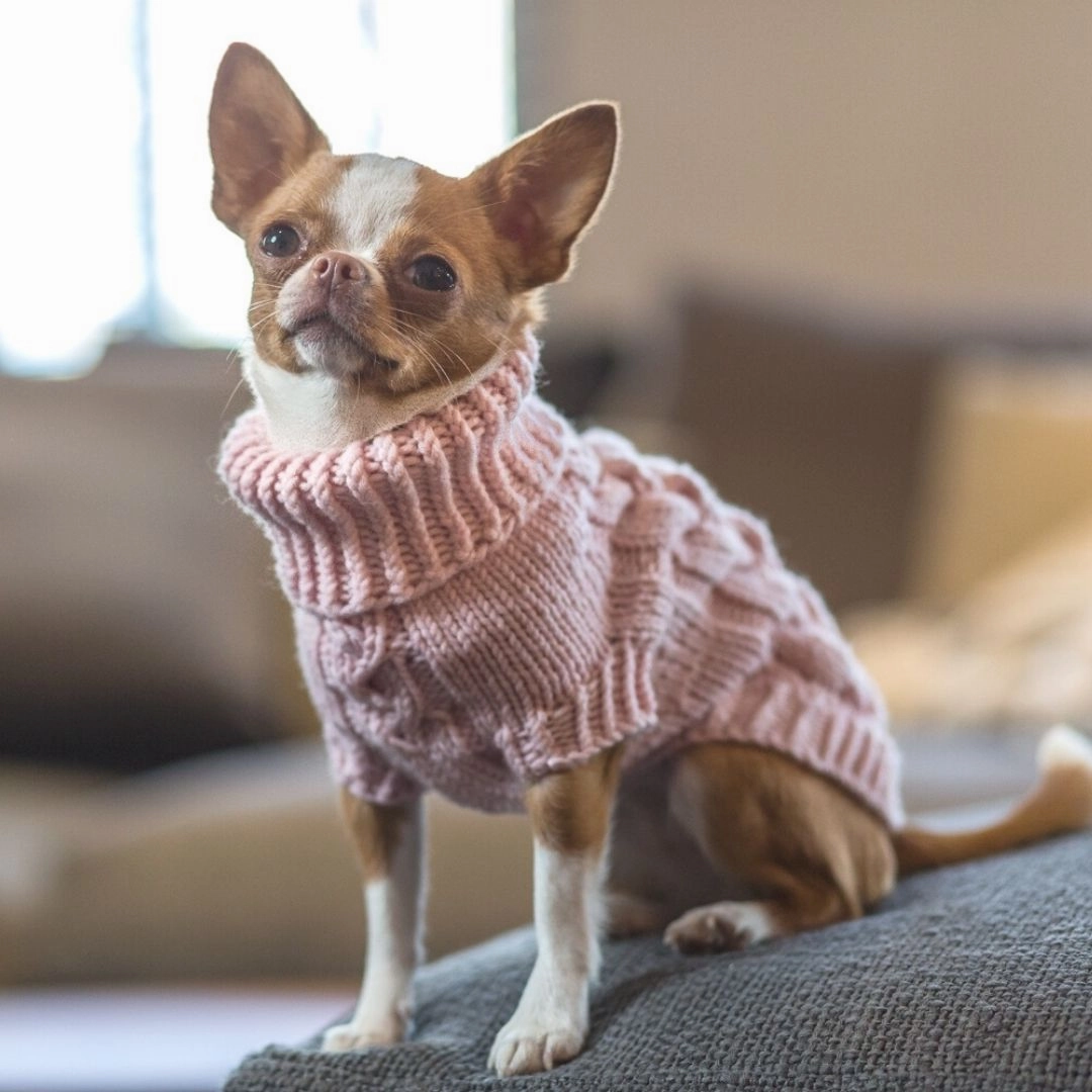 Wooldog Supreme 100% Merino Wool Pink Powder Hand-Knitted Dog Jumper
