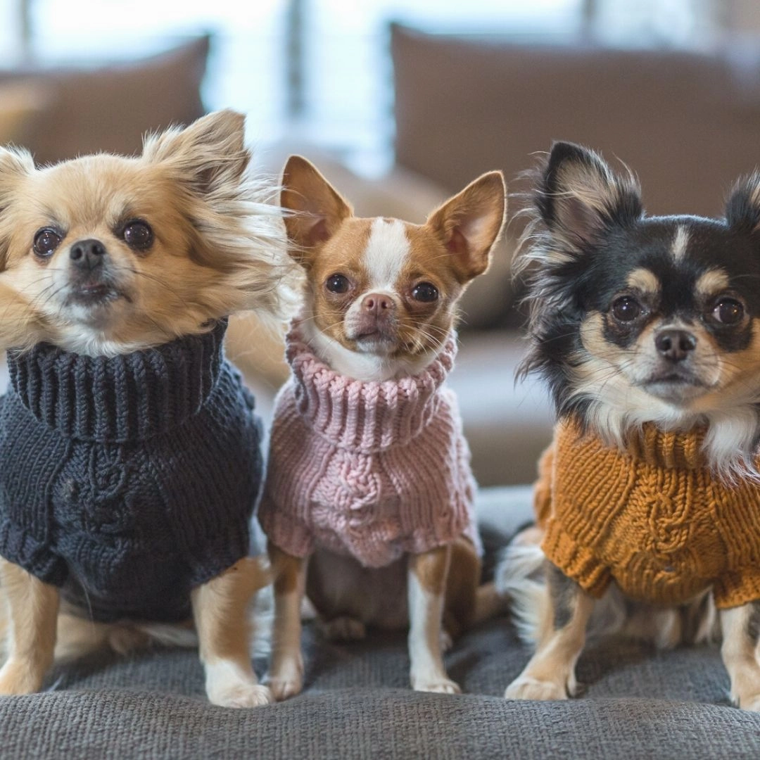 Wooldog Supreme 100% Merino Wool Pink Powder Hand-Knitted Dog Jumper