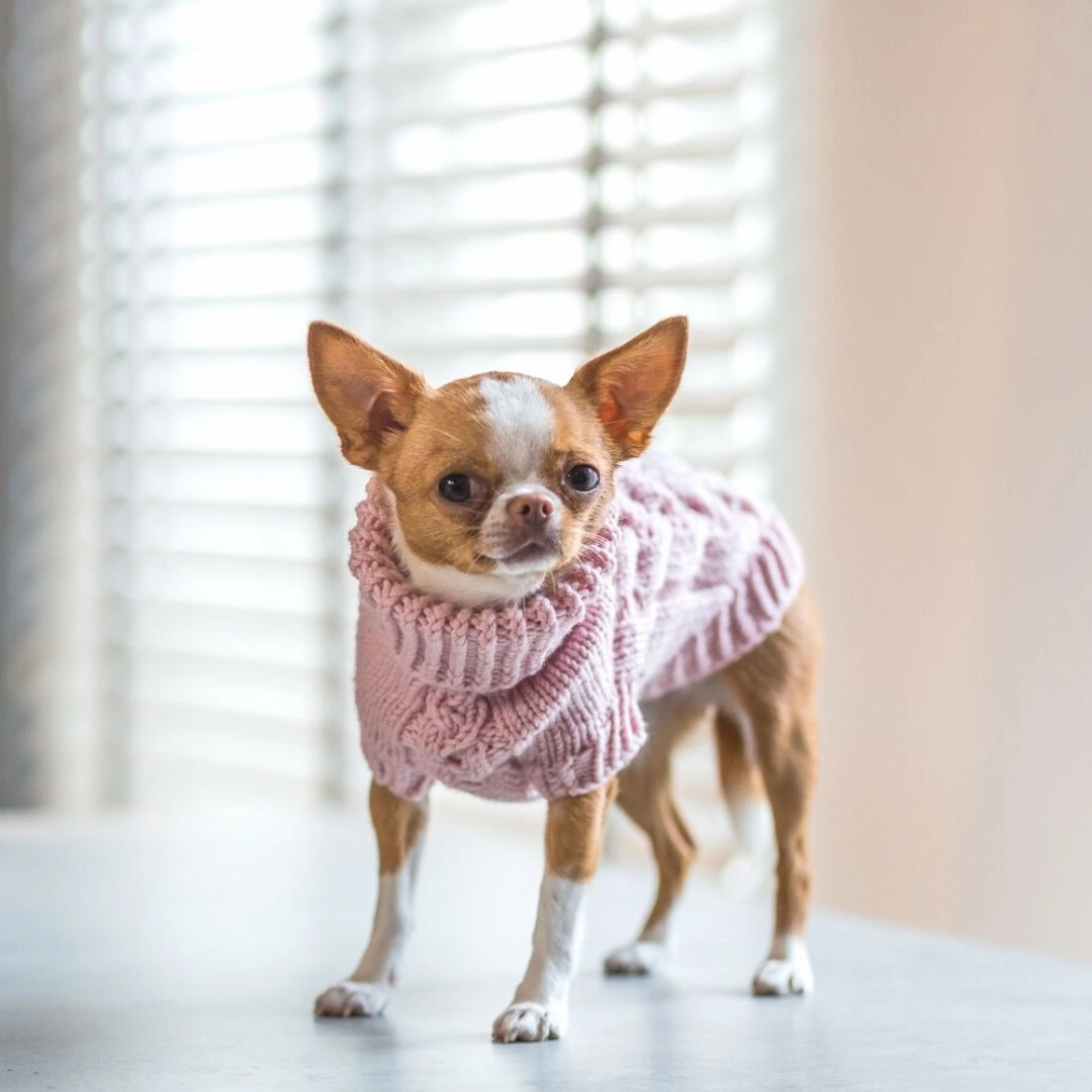 Wooldog Supreme 100% Merino Wool Pink Powder Hand-Knitted Dog Jumper