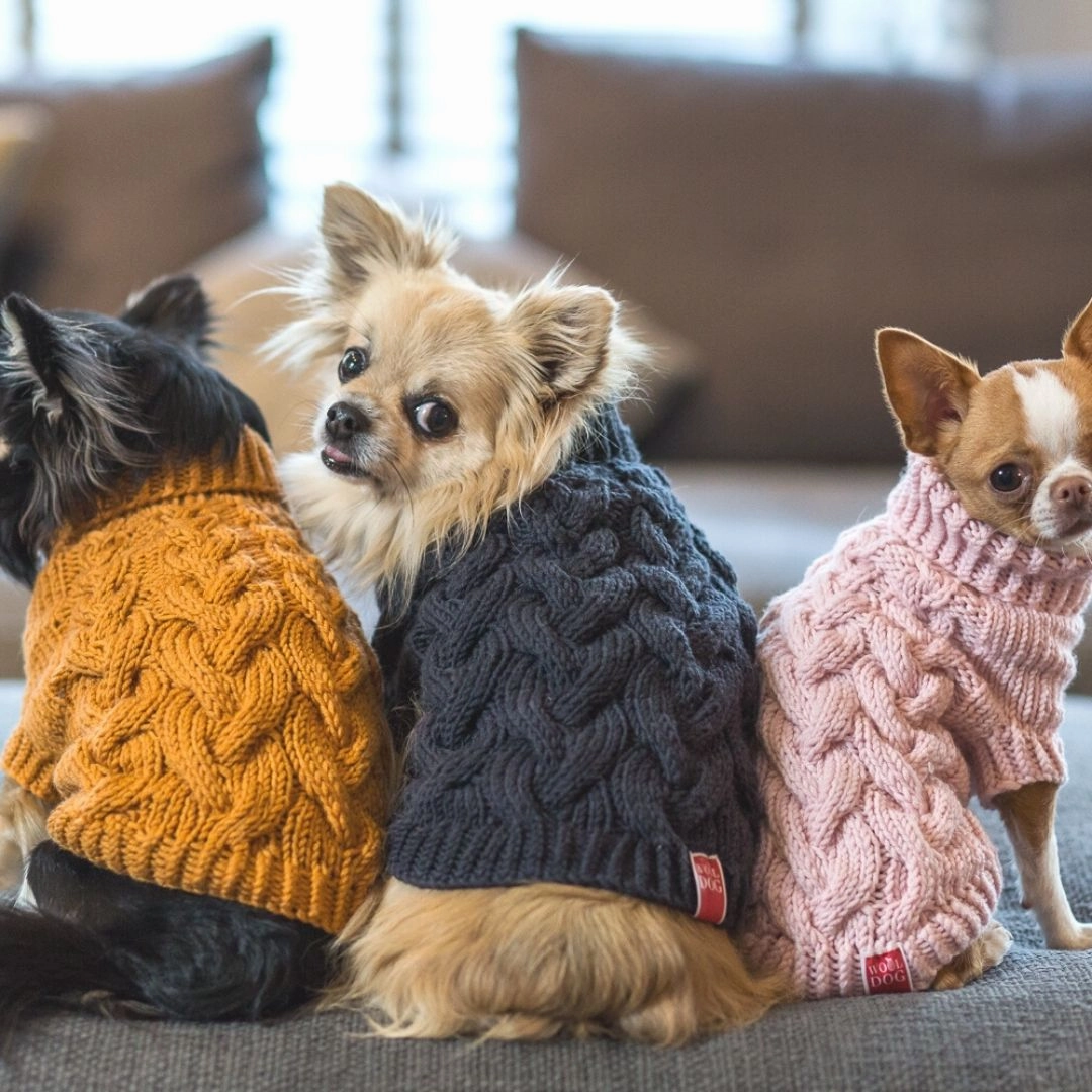 Wooldog Supreme 100% Merino Wool Pink Powder Hand-Knitted Dog Jumper