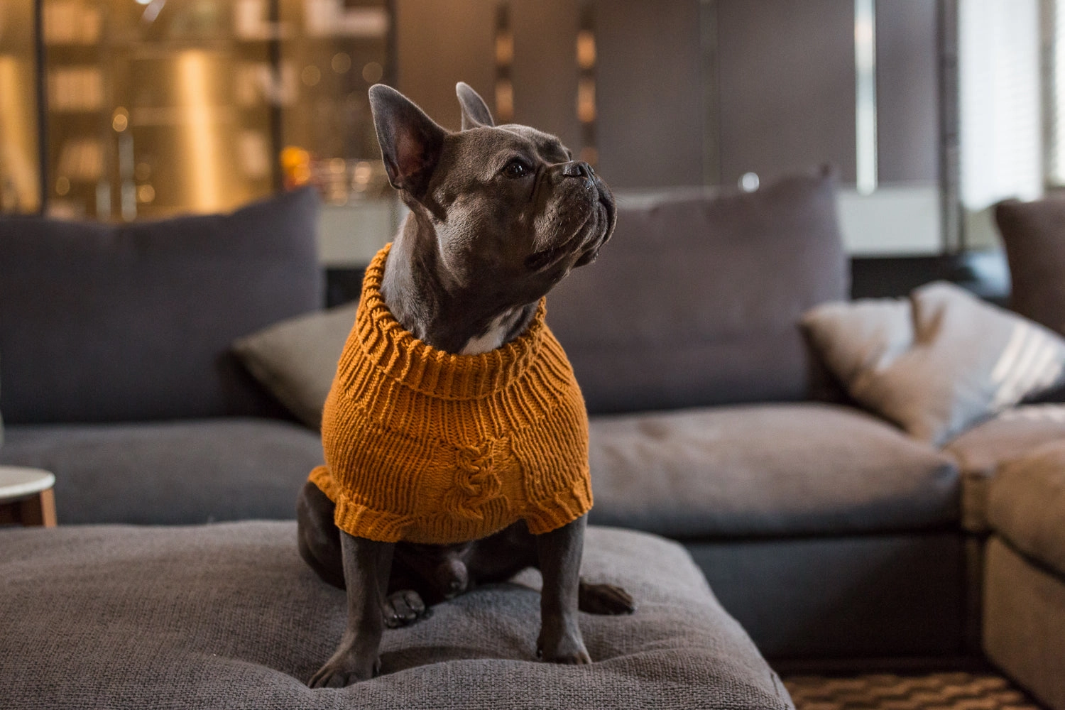 Wooldog Supreme 100% Merino Wool Tangerine Dream Hand-Knitted Dog Jumper