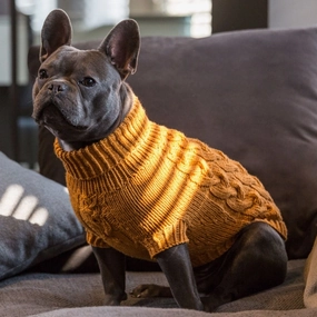 Wooldog Supreme 100% Merino Wool Tangerine Dream Hand-Knitted Dog Jumper