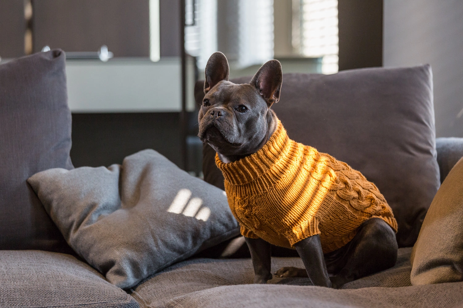 Wooldog Supreme 100% Merino Wool Tangerine Dream Hand-Knitted Dog Jumper