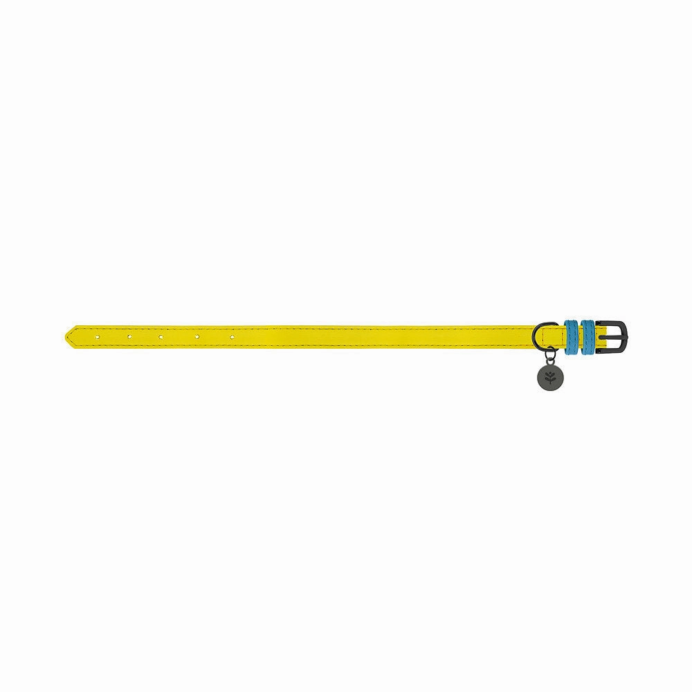 Yellow Colour Block Dog Collar