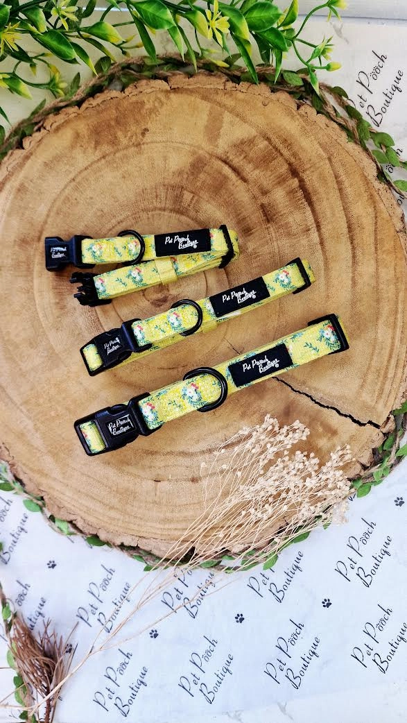 Zesty Butter Meadows Floral Dog Collar