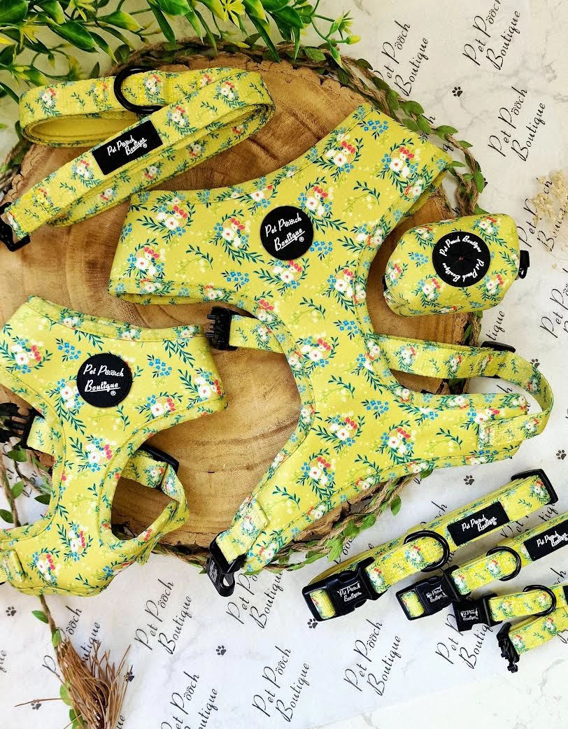 Zesty Butter Meadows Floral Dog Harness